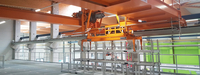 Process cranes for 
the aluminium industry